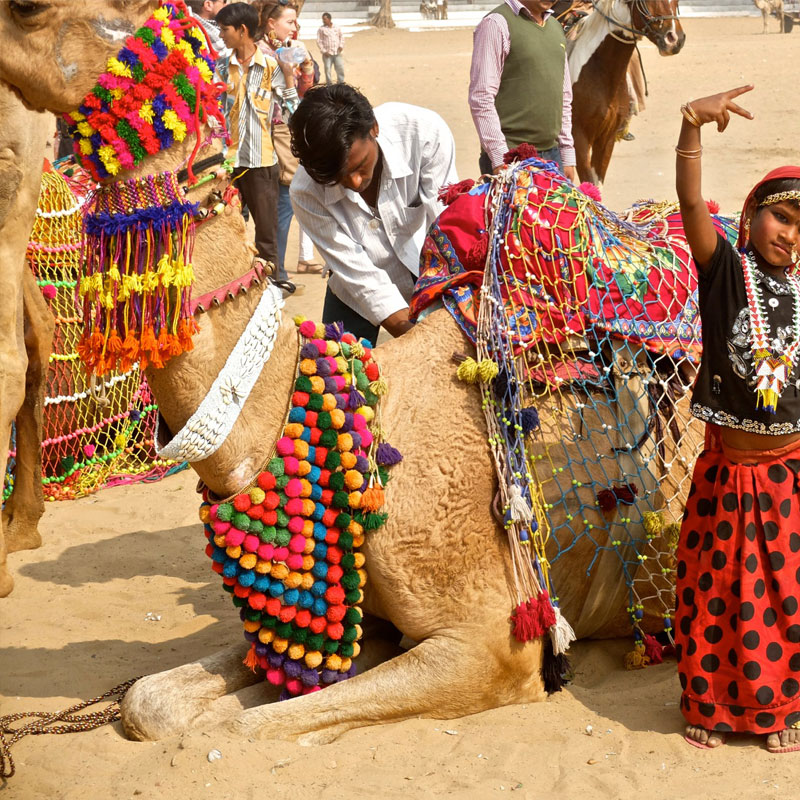 rajasthan desert tour package